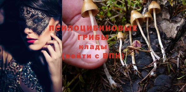 крисы Верея