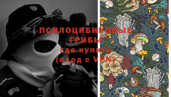 крисы Верея