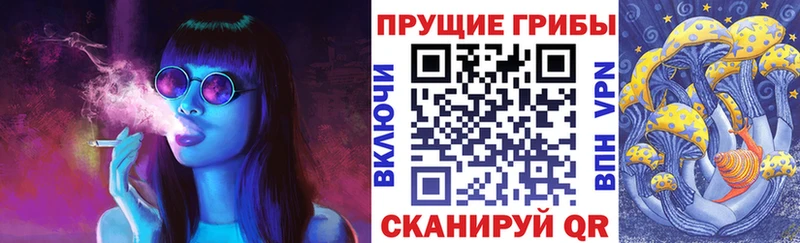 Купить Сосновый Бор Галлюциногенные грибы Magic Shrooms